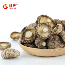 Natural Dry Shiitake Mushrooms Bulk Dried Mushrooms